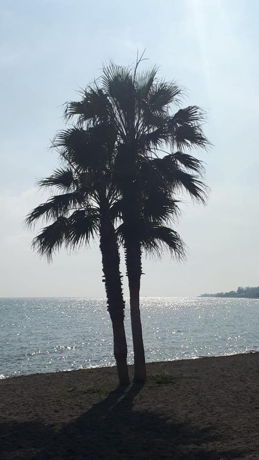 El Paraiso Golf Y Playa 埃斯特波纳 外观 照片